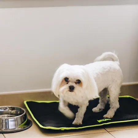 Liberata & Hotell 4*